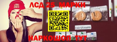 индика Гай