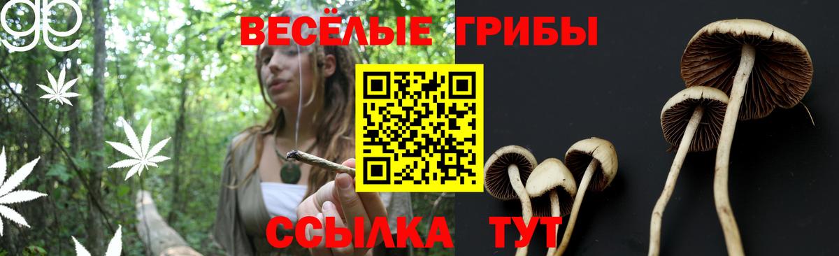 Псилоцибиновые грибы MAGIC MUSHROOMS  Галлюциногенные грибы GOLDEN TEACHER  Новозыбков  Вход с VPN 
